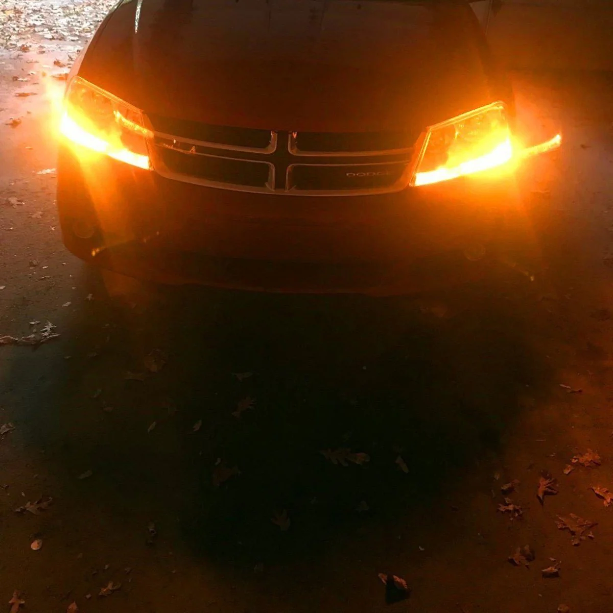7507 PY21W 12496 LED Bulbs Super Bright 12V Turn Signal Lights Bulbs - Image 5